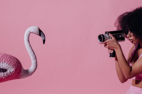Woman in Pink Crop Top Recording a Pink Flamingo