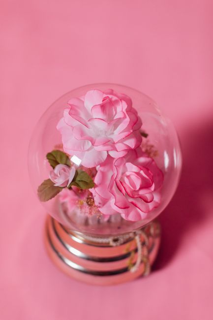 Close-up of elegant pink roses in a snow globe against a pink background.