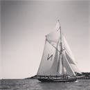 一张黑白照片中，一艘帆船在英国康沃尔附近航行