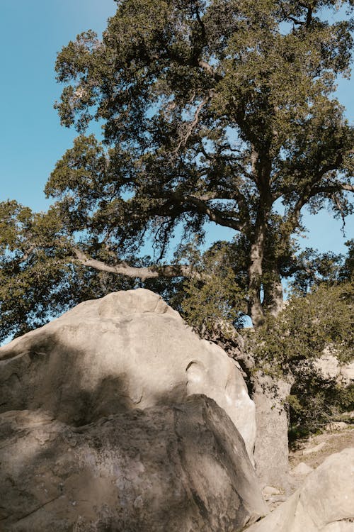 カリフォルニア, パタゴニア, 冒険の無料の写真素材