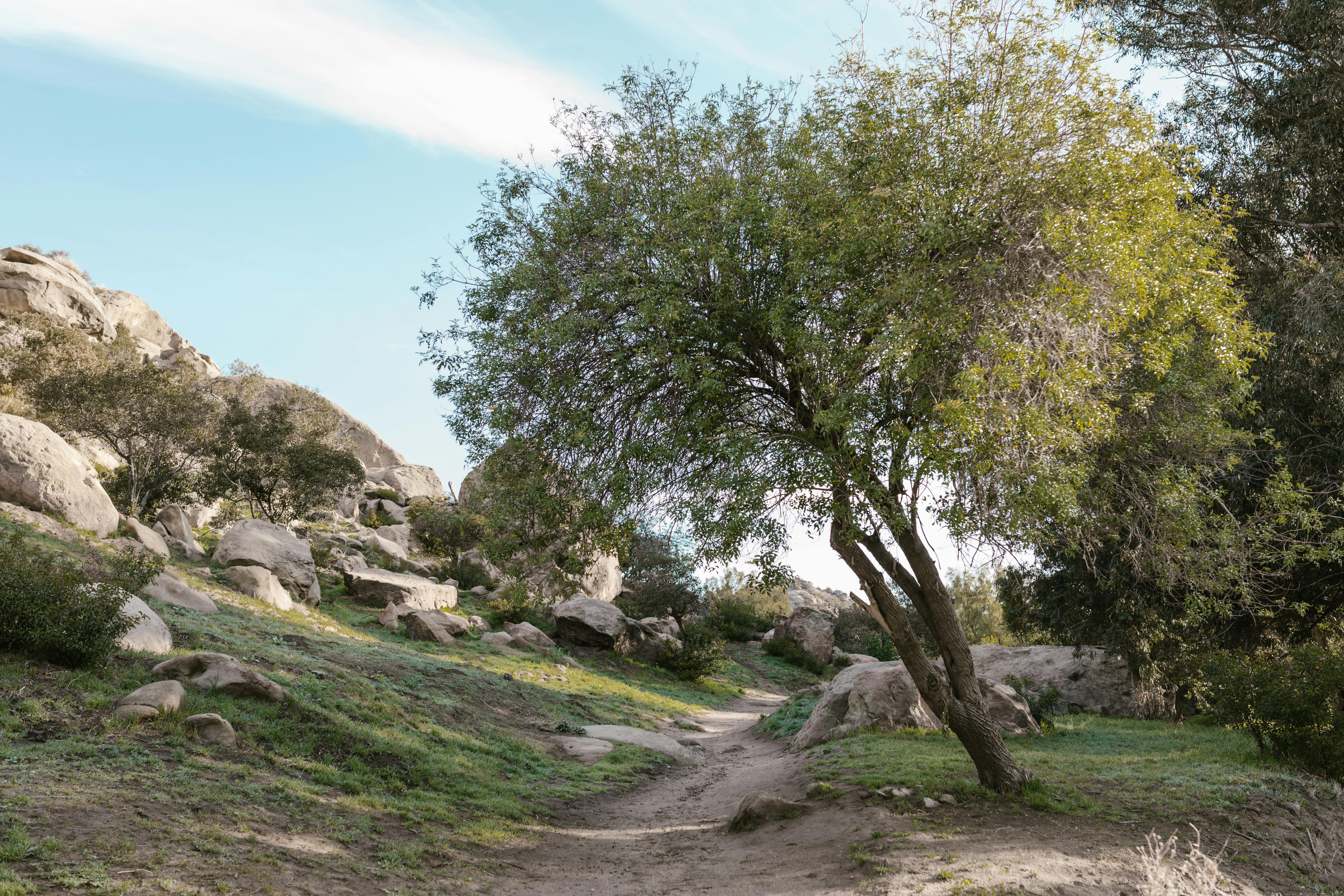 Hiking Trail in the Mountain