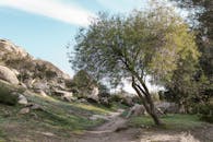 Hiking Trail in the Mountain