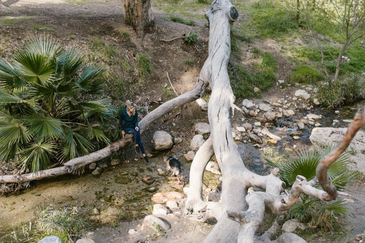A Woman Sitting On A Tree Trunk While Looking At Her Dog Crossing The Rocky River