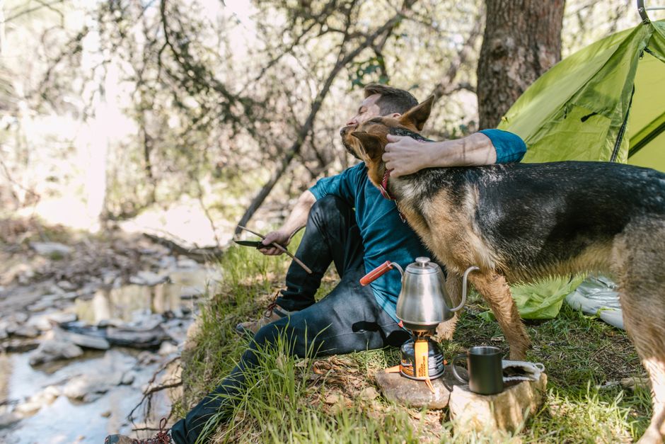 camp dog beginner kit safety food lead tips