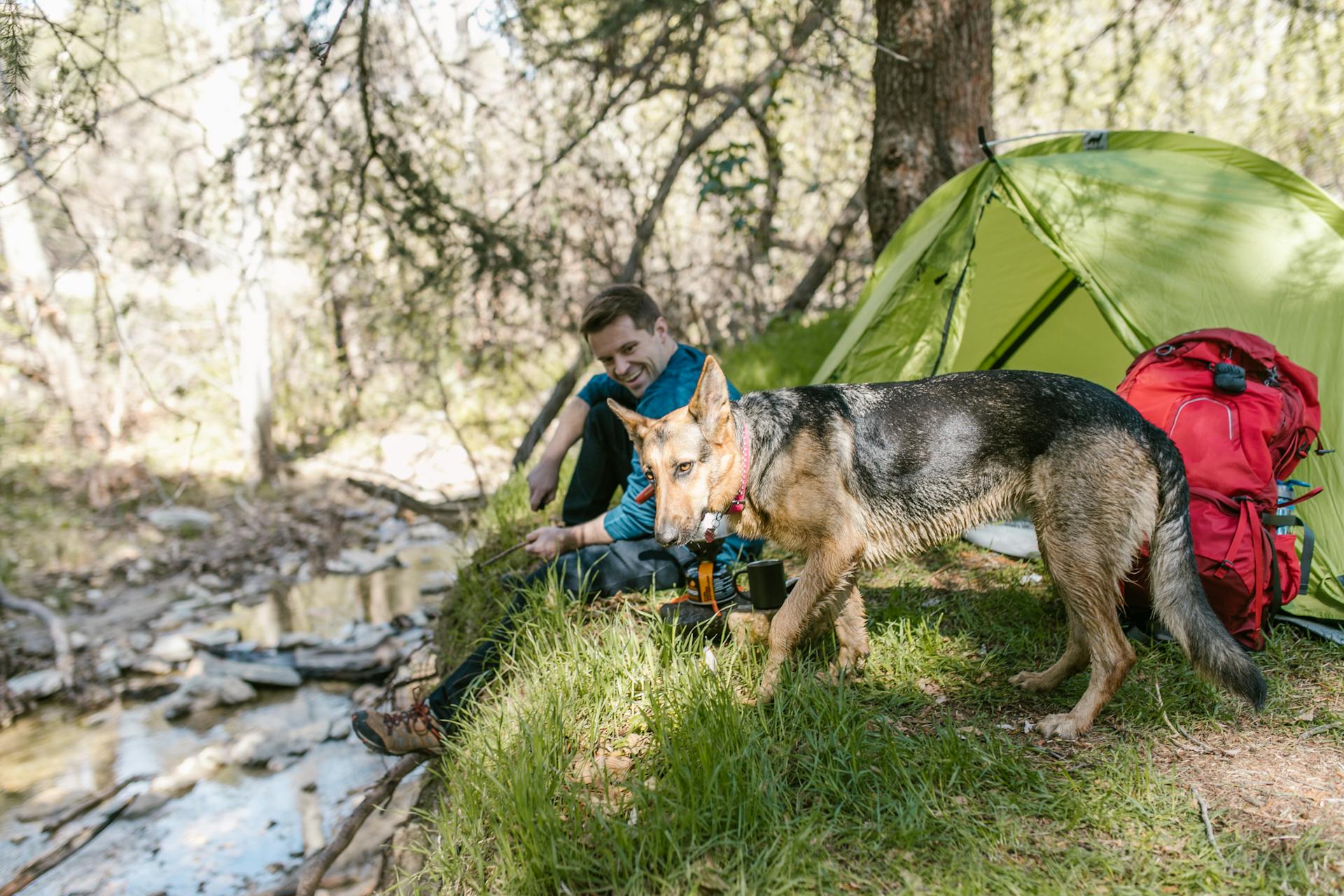 Mann i blå jacka sitter bredvid en schäferhund nära en vattenkropp