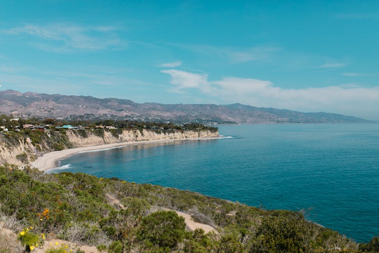 Green Trees On Island Near Body Of Water