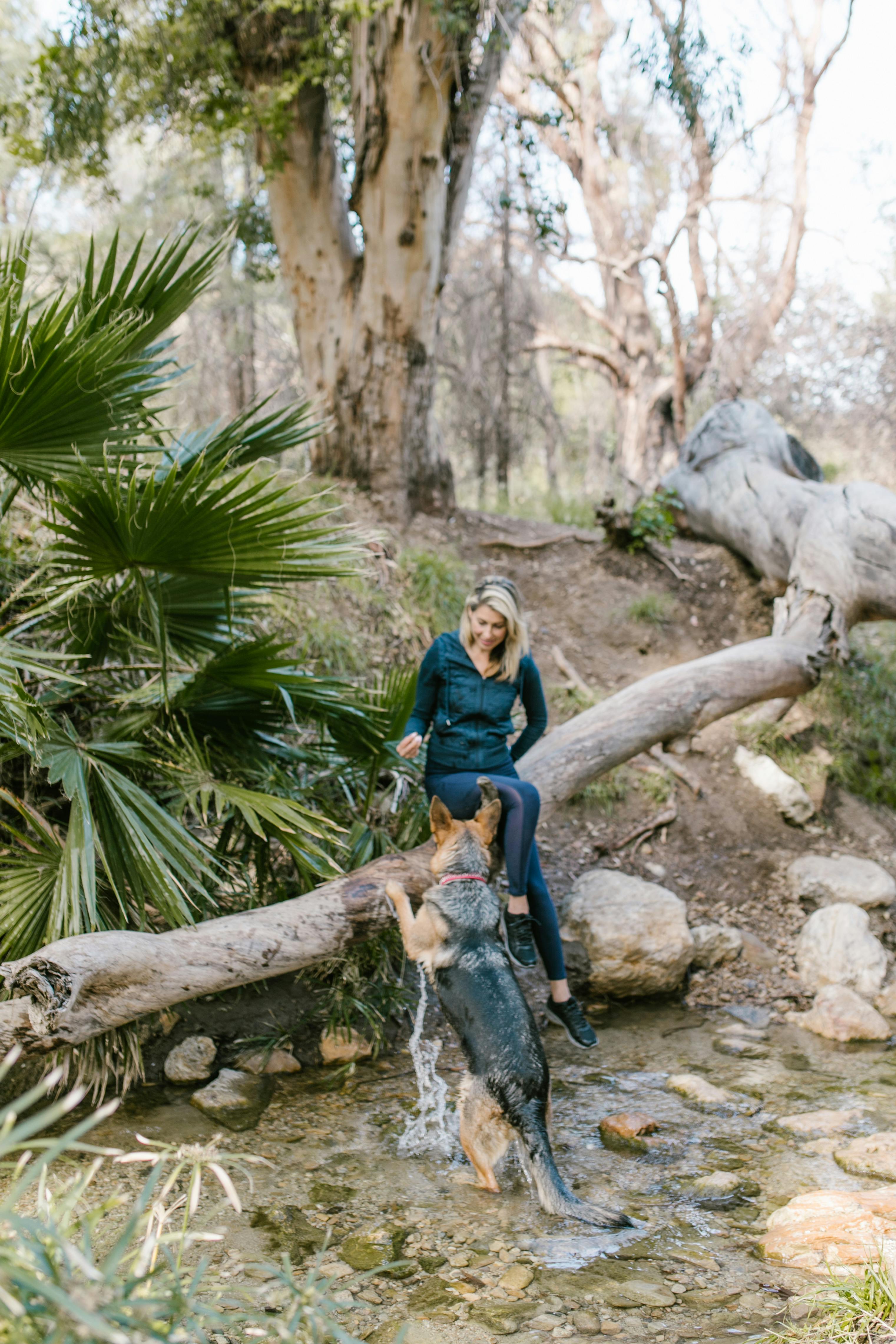 Why Do Dogs Have Wet Noses? Discover The Fascinating Truth! 10 Exploring the Myths: Wet Noses and Their Connection to Dog Behavior