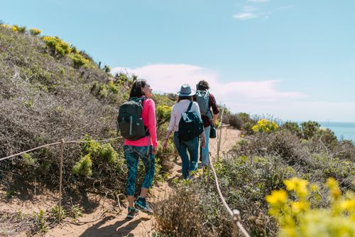 Free A group of hikers walking on a coastal trail surrounded by lush vegetation under a bright sky. Stock Photo