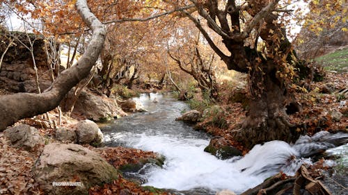 庫爾德斯坦的秋天 的 免費圖庫相片