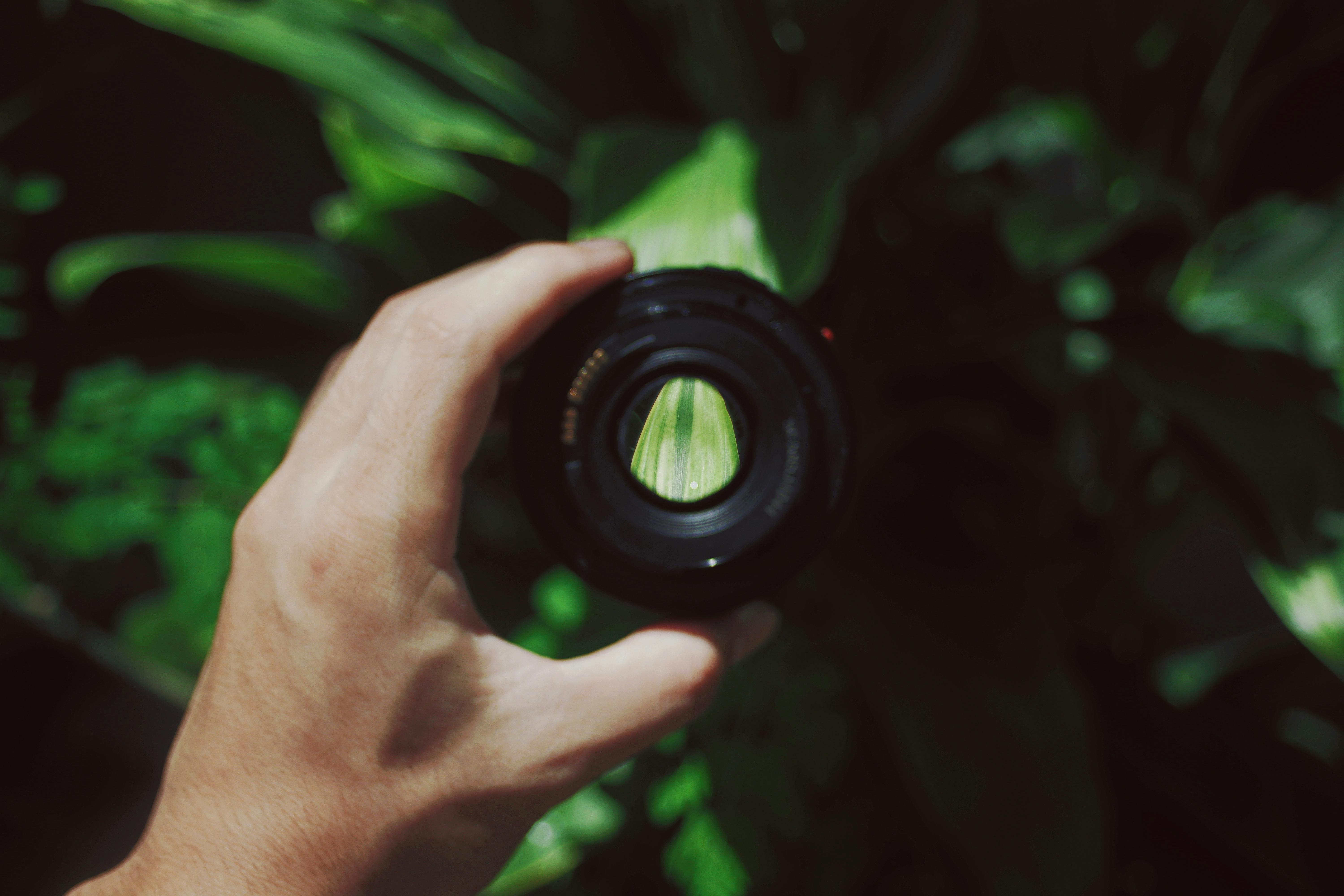 Person Holding Magnifying Glass · Free Stock Photo