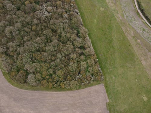 Aerial Shot of Croplands and Woodlands 