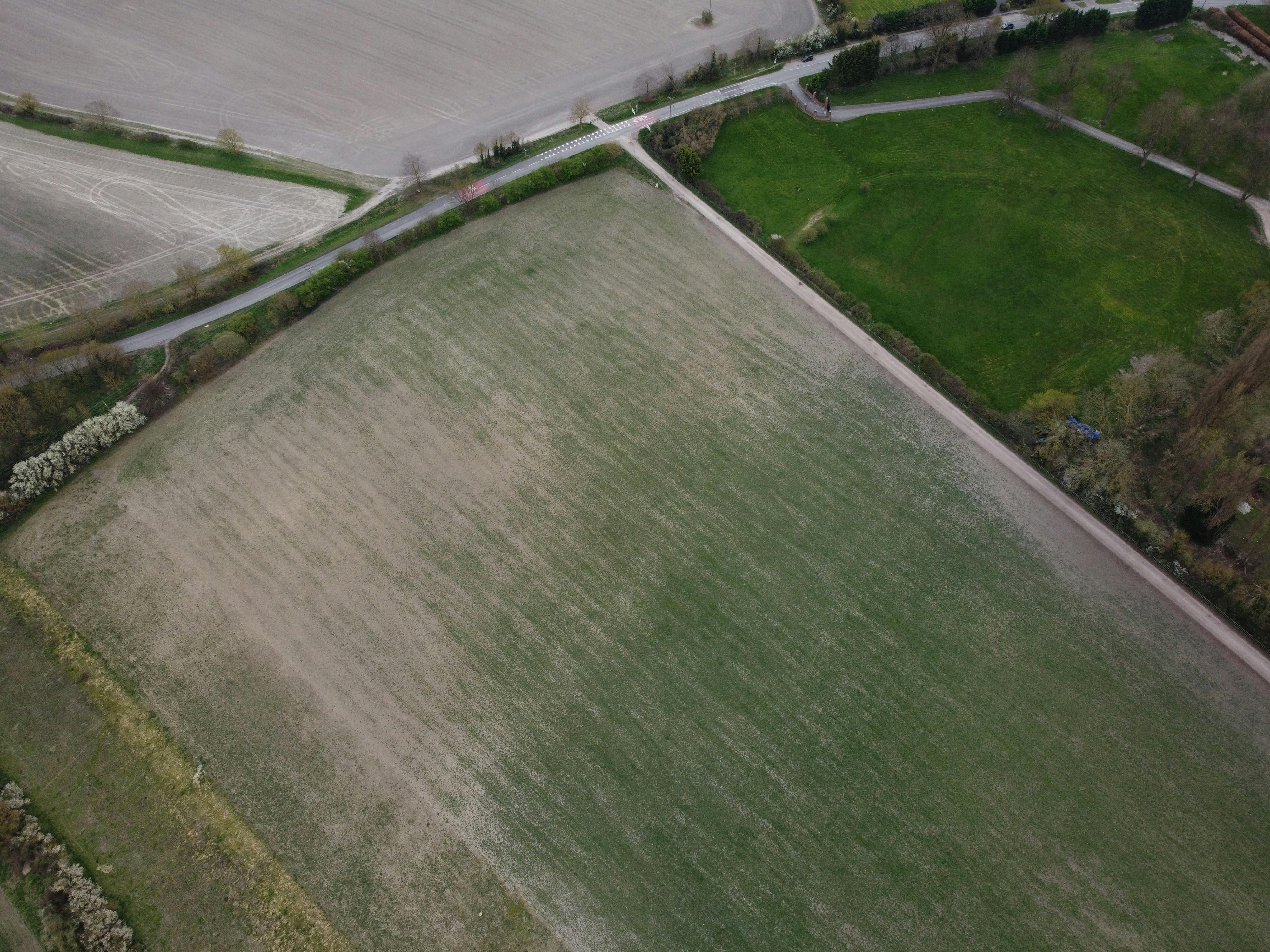 Aerial Photo Of A Wall Of Trees Across Dry Plains · Free Stock Photo