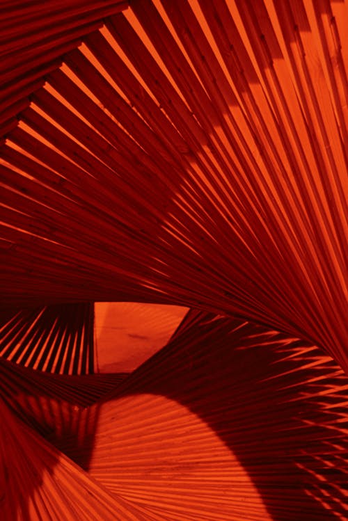 Red Abstract Shapes