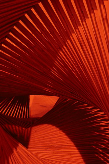 Intriguing red abstract shapes creating dynamic patterns, perfect for art enthusiasts.