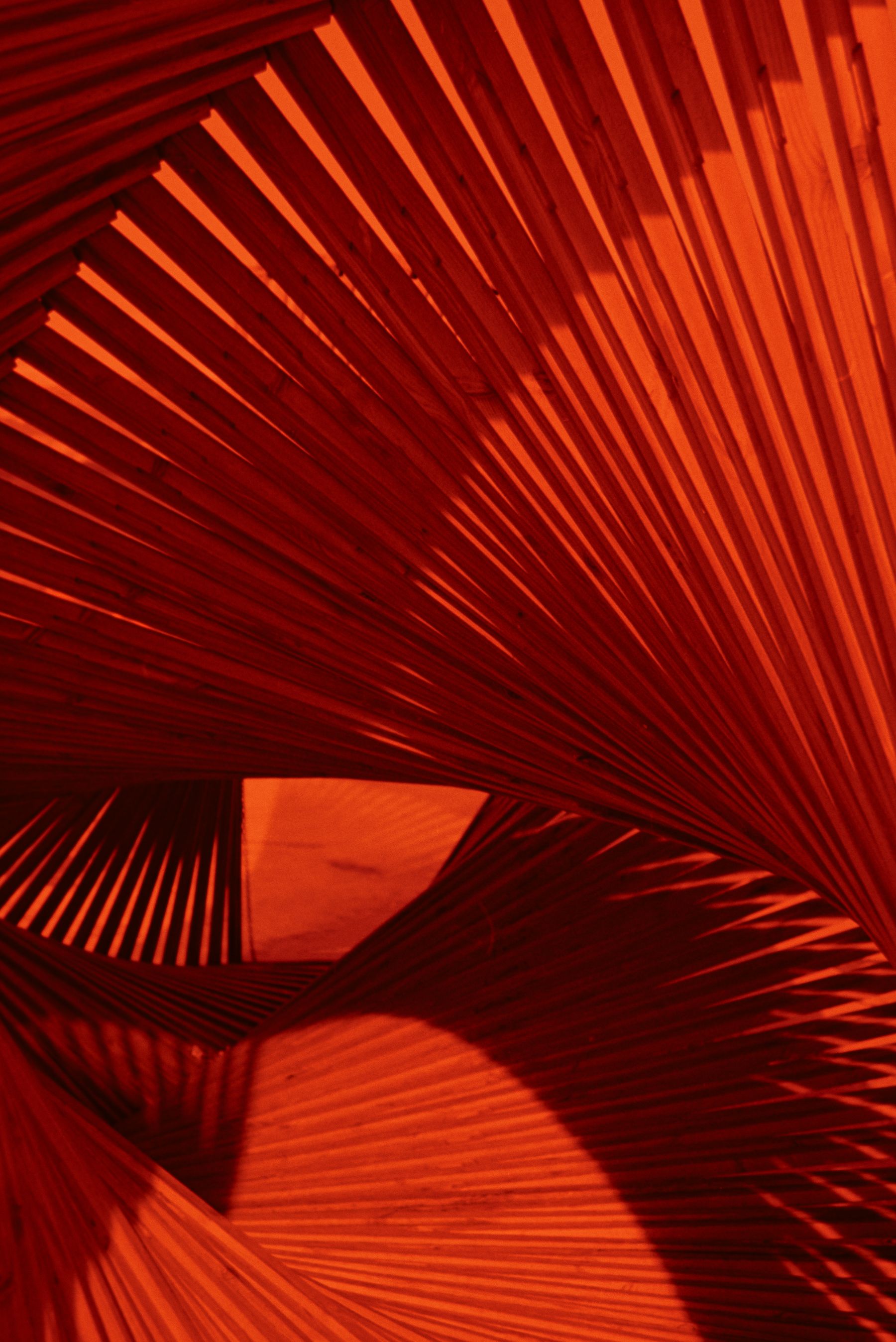 Abstract red and orange lines representing visible marketing data