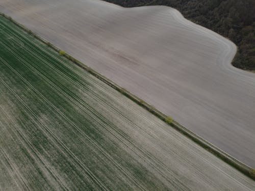 Imagine de stoc gratuită din agricultură, câmp, fotografie aeriană