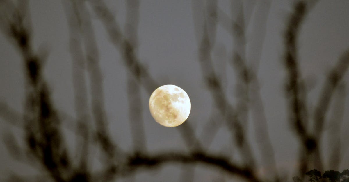Free stock photo of full moon, half moon, moon