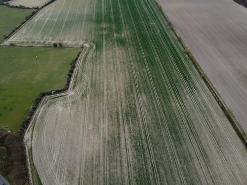 Gratis stockfoto met dronefoto, grasland, landbouw
