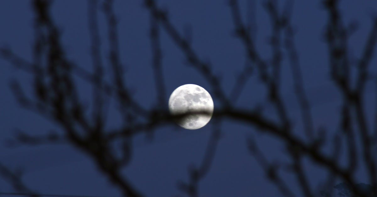 Free stock photo of blue sky, full moon, half moon