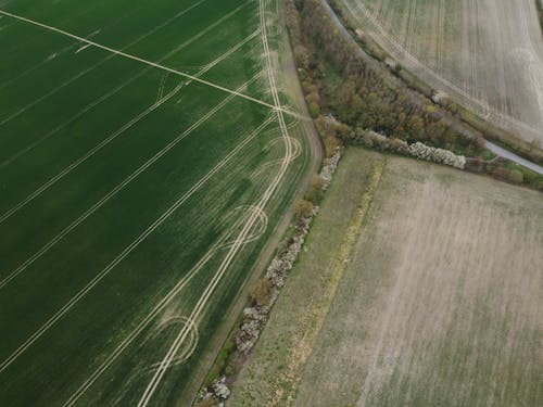 Foto profissional grátis de aerofotografia, agricultura, campina