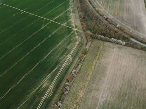 Бесплатное стоковое фото с Аэрофотосъемка, за городом, пастбище