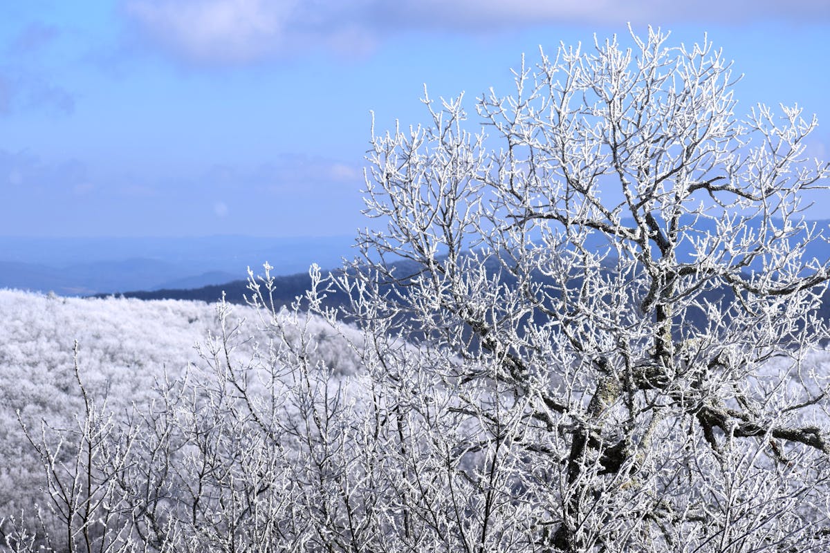 Performance charts on a laptop showing benchmark graphs