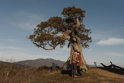 adam, ağaç, ağaç gövdesi içeren Ücretsiz stok fotoğraf