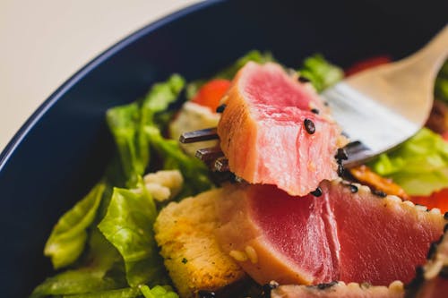 Free Salad  with Ahi Tuna on Blue Ceramic Plate Stock Photo