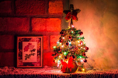 照明付きのクリスマスツリーの写真