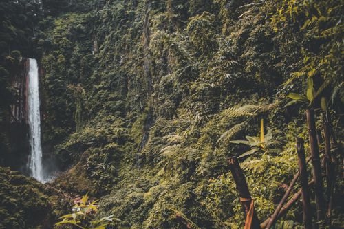 Free A stunning waterfall cascading in an untouched lush green forest, showcasing natural beauty. Stock Photo