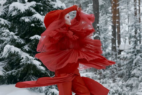 Foto d'estoc gratuïta de dona, hivern, neu