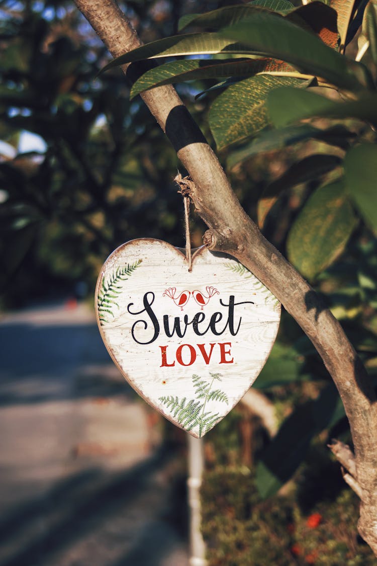 Wooden Sign Hanging On Tree Branch