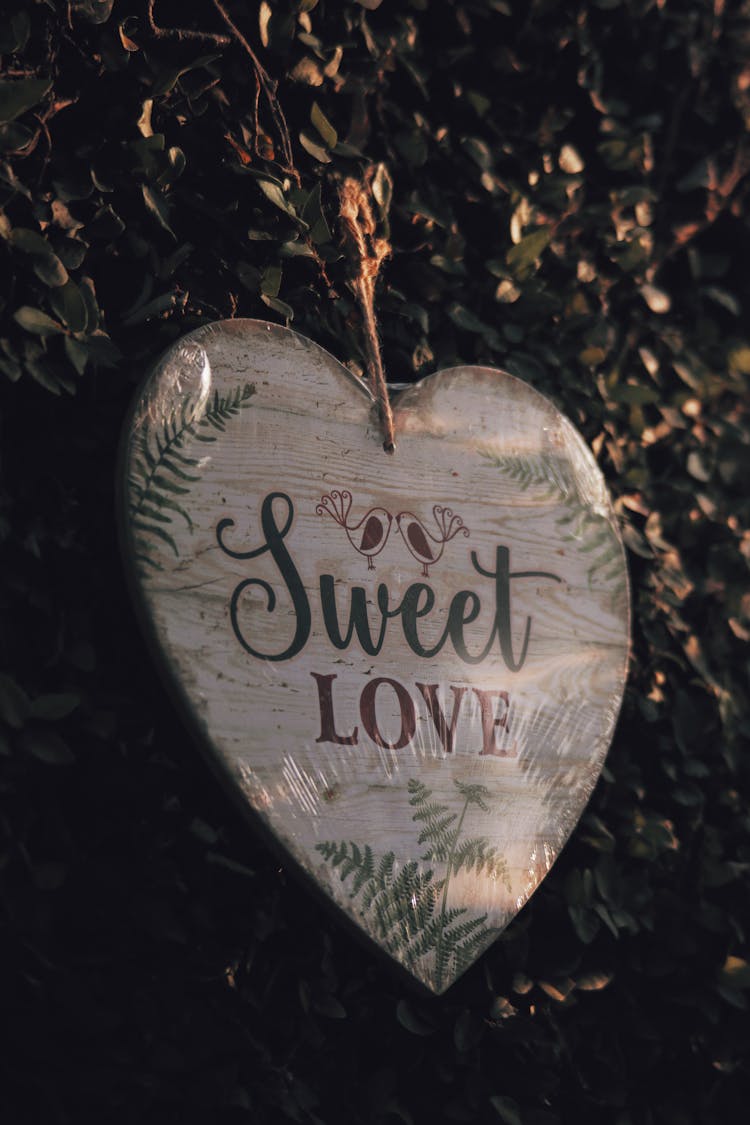 Wooden Heart Shaped Sign Hanging From Ivy Vines