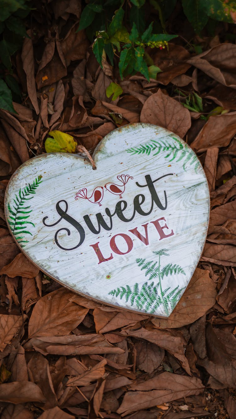 Heart Shaped Decoration On Faded Leaves