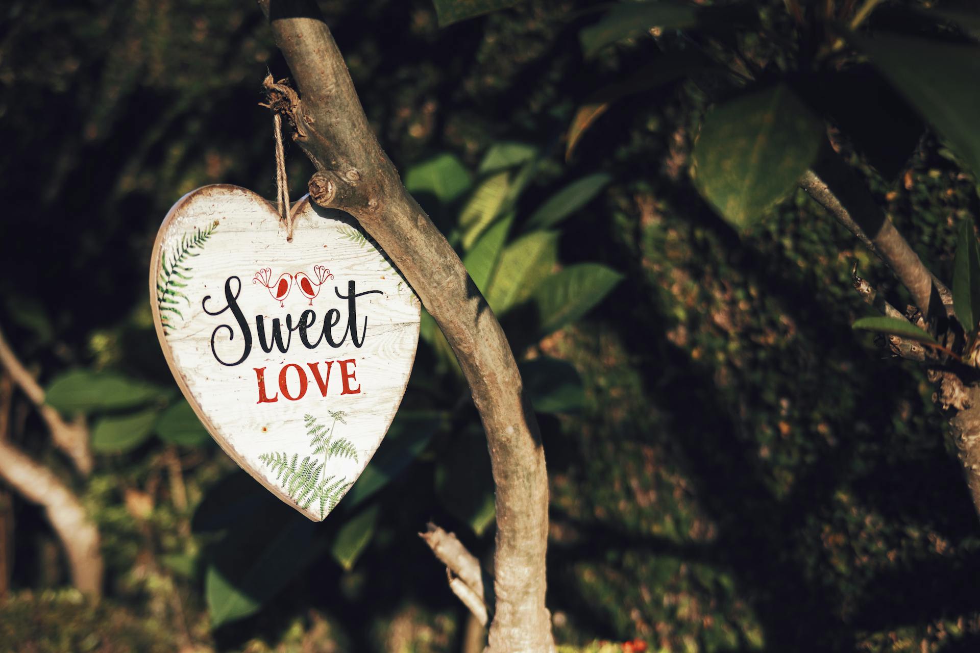 Heart-shaped wooden sign with 'Sweet Love' text hanging from a tree branch in daylight.