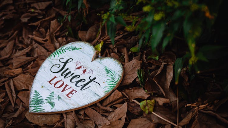 Decorative Heart On Faded Leaves