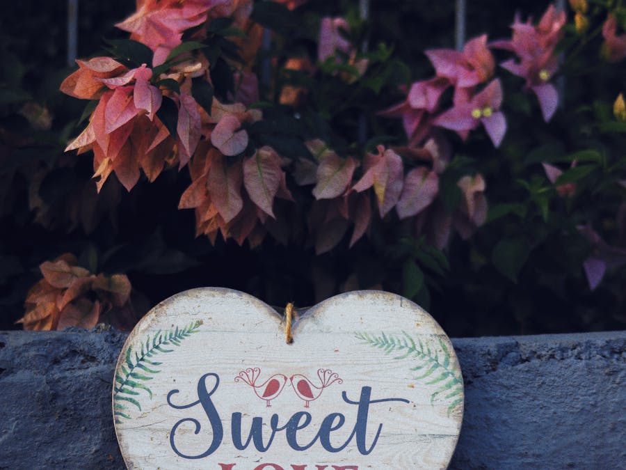 Photo by Nothing Ahead