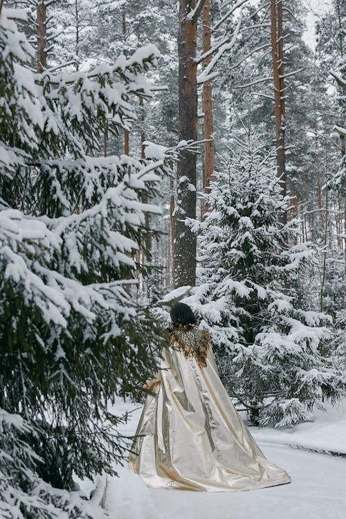 Back View of a Woman Walking in the Snow Covered Forest