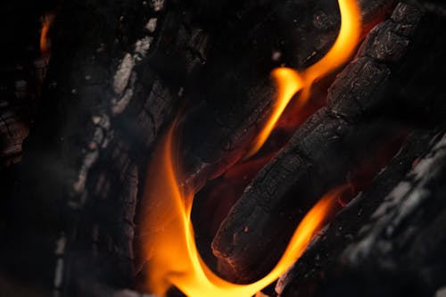 Free Flaming Charcoal Wood Stock Photo
