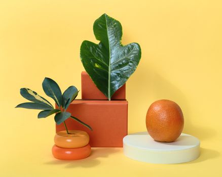 A minimalist composition featuring green leaves and an orange on geometric shapes against a yellow background.