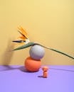 Minimalist Bird of Paradise Flower Arrangement