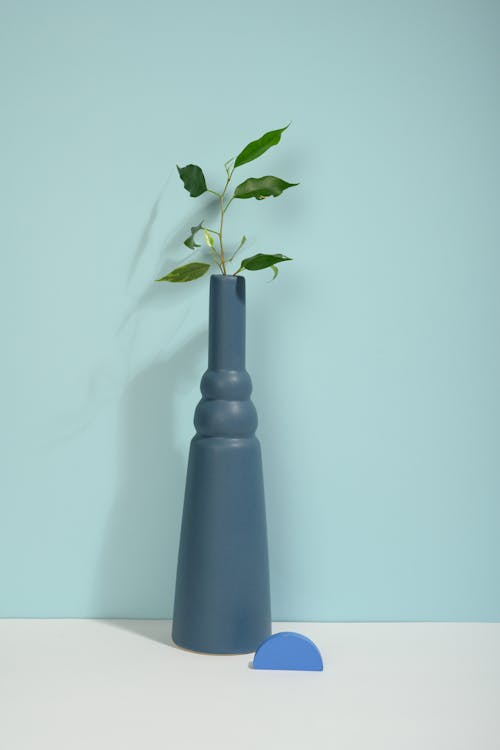 Free Photo of Green Leaves on Blue Vase Stock Photo