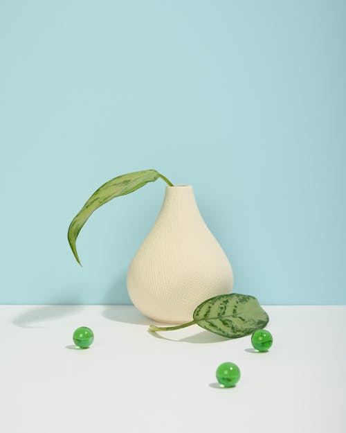 Photo of Leaf on White Vase