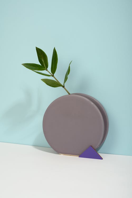 Photo of Leaves on Purple Round Object