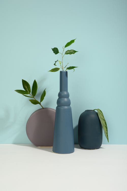 Photo of Leaves on Different Shapes of Vase