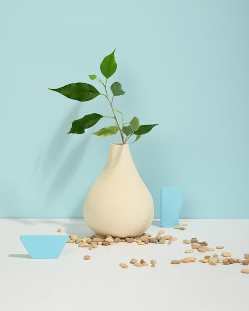 Free Photo of Green Leaves on White Vase Stock Photo