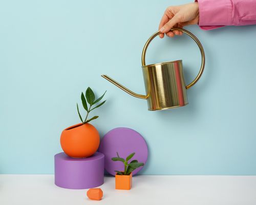 Free Modern still life of succulents in vibrant pots with a gold watering can on pastel background. Stock Photo
