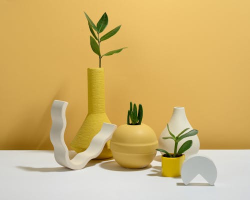 Photo of Succulent Plants on Yellow Pots