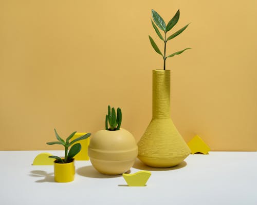 Photo of Succulent Plant on Yellow Pot