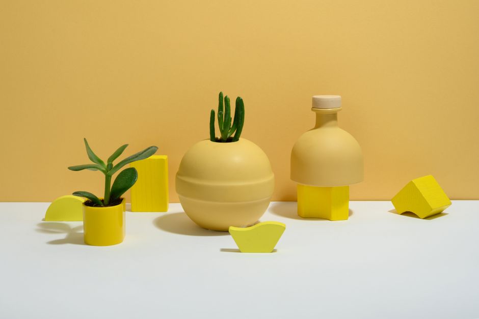 Stylish succulent plants in yellow vases on a pastel background, showcasing minimalism.